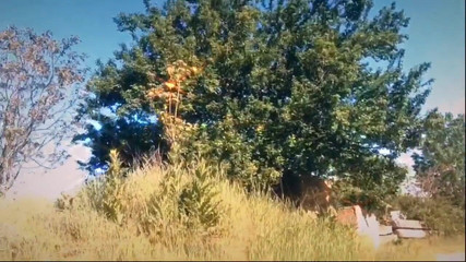 The queen of Satan: Znovu ukazuji moje prsa v přírodě