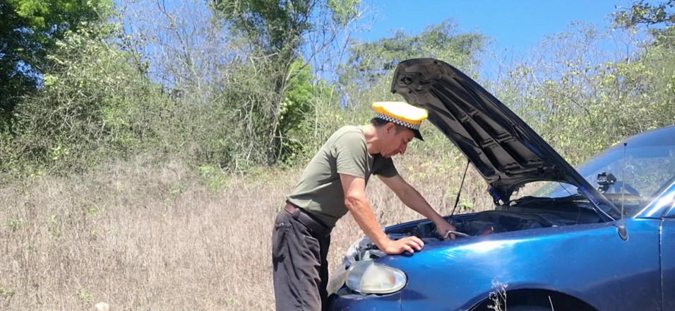 Lady: Mientras el taxista arregla el coche, la hermosa madrastra se...