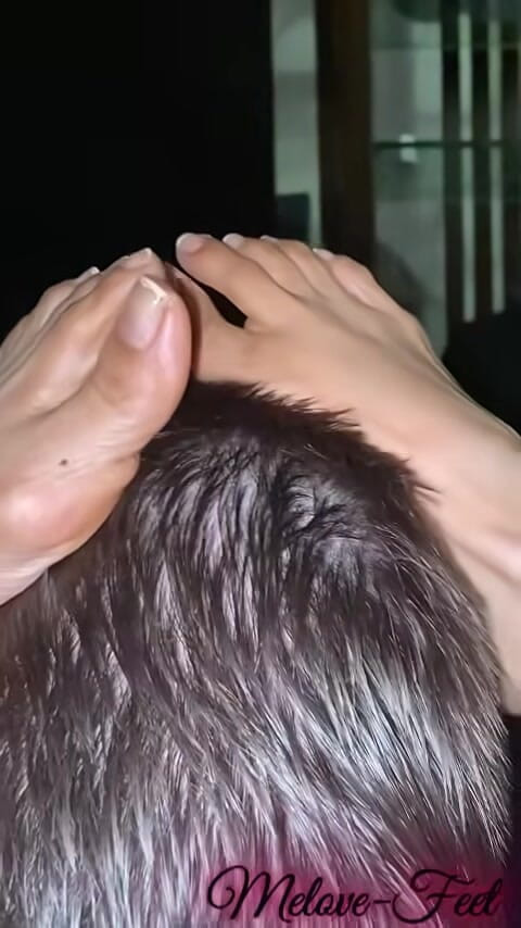 Naelor: Compilation of Melove Little Pussy Getting Slurped by Naelor Part...