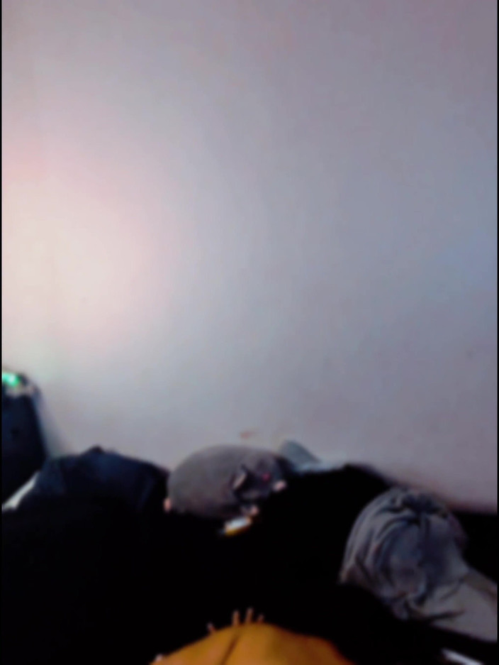 South Merican GOON ROOM: 50 Palců Giantess Booty Late Nite