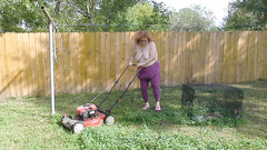 BBW nurse Vicki adventures with friends: Jururawat Vicki Mowing Grass berpakaian kemudian bertelanjang atas
