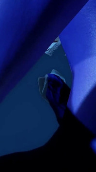 Big Dick Widowmaker Fucks Cortana