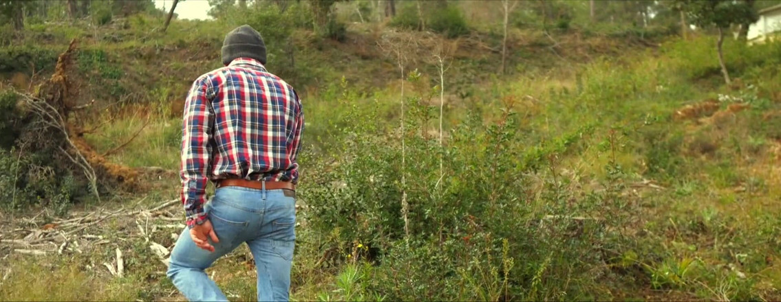Juan Lucho Gay: İki Arkadaş Ormanda Mastürbasyon