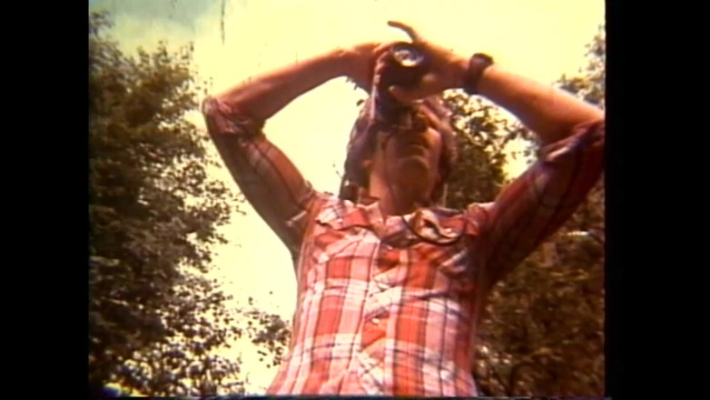 Vintage Megastore Full hd: Arcadia Lake và Eric Edwards với nhau