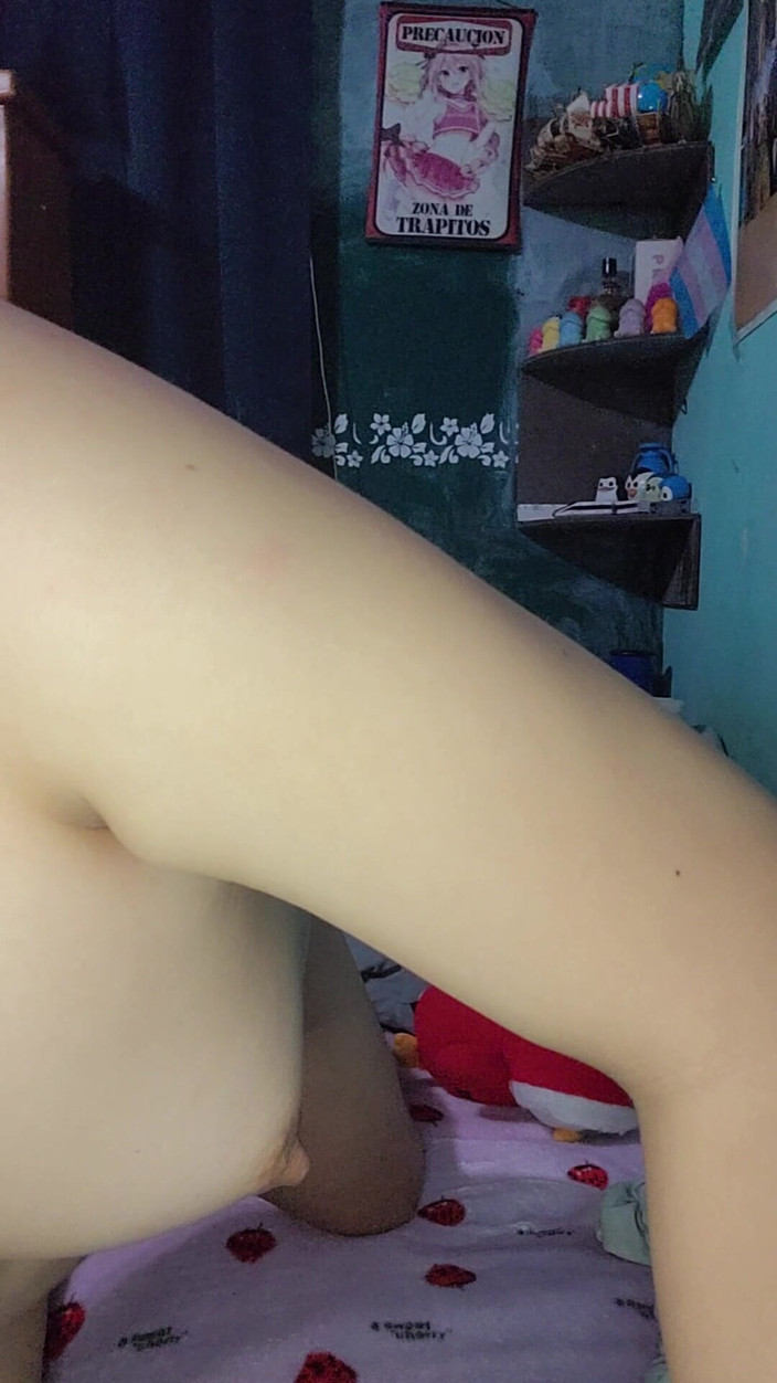 Crystal Phoenix: Sissy Girl Mempamerkan Di Internet