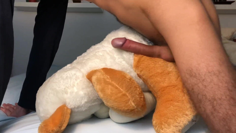 Heat boy: Teddy Orgasm Morning Dirty Talks Solo Cum