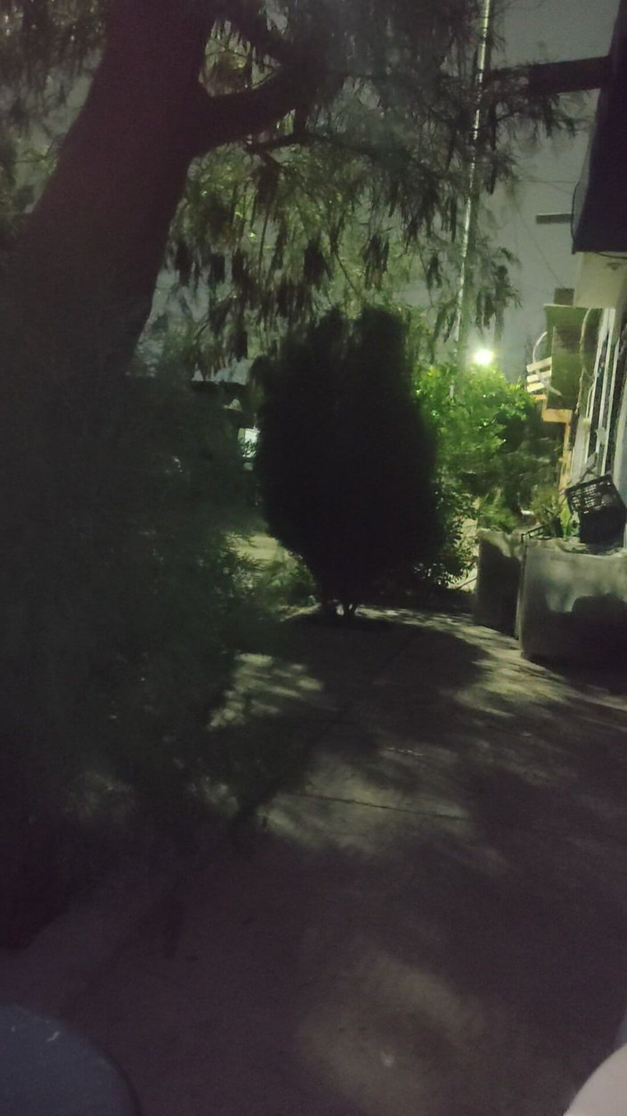 AlexAlejandro13: 一个灿烂的夜晚