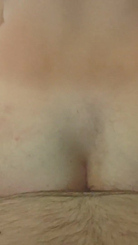 Teddy Bearor Jumps on Cock