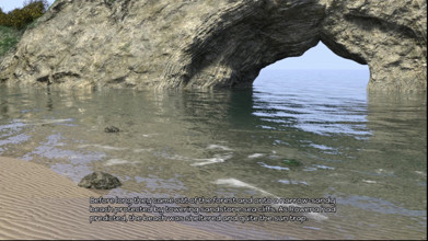 The Selkie