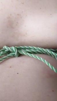 Titisbdsm1