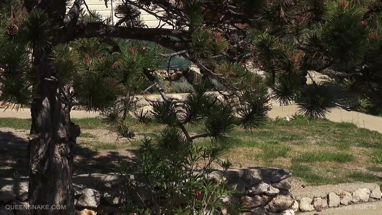 Queen Snake: Masturbieren im freien, bevor sie gefickt und in den mund...