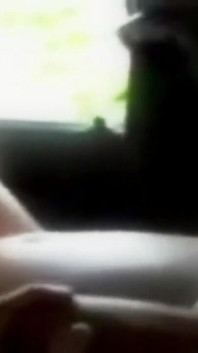 Horny Fucked in the Car