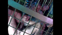 Vintage megastore: Kočka ošukaná v kleci