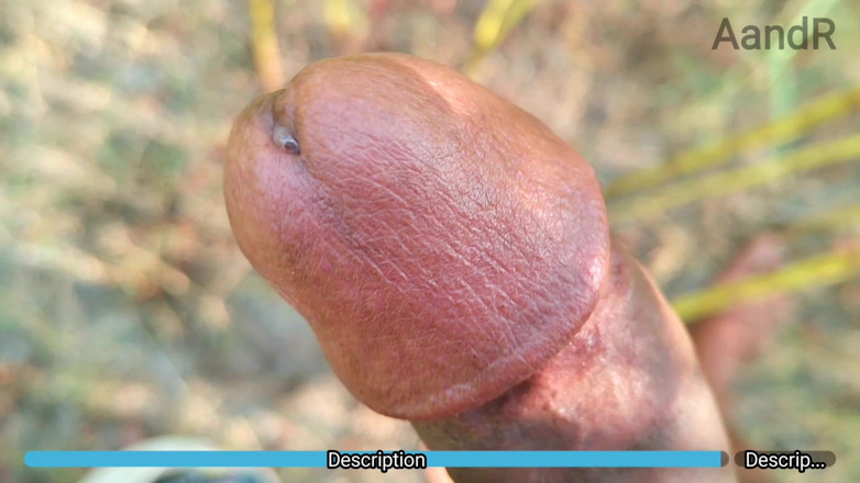 AnR: Thủ dâm vid6 - thủ dâm mạnh bạo trong rừng