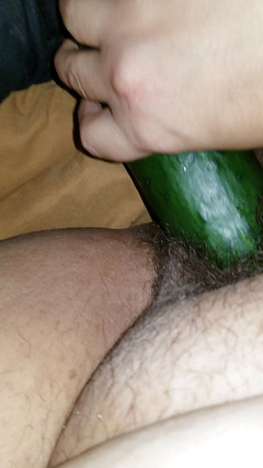 BerryDelixxxious: BerryDelixxxious brincando com pepino