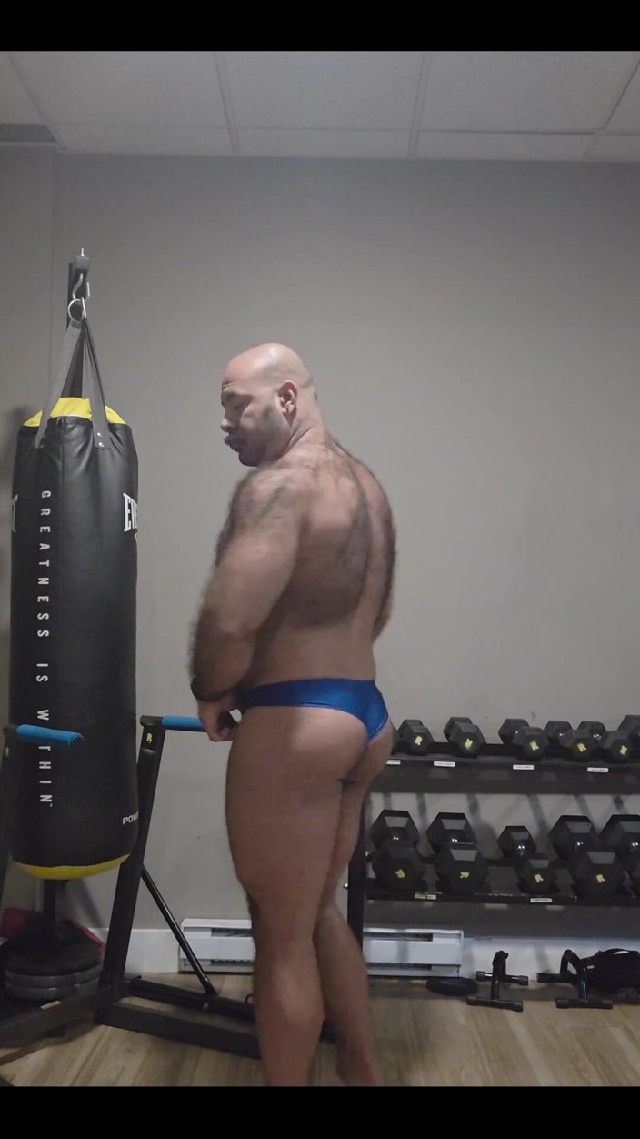 Lobo: Muscular