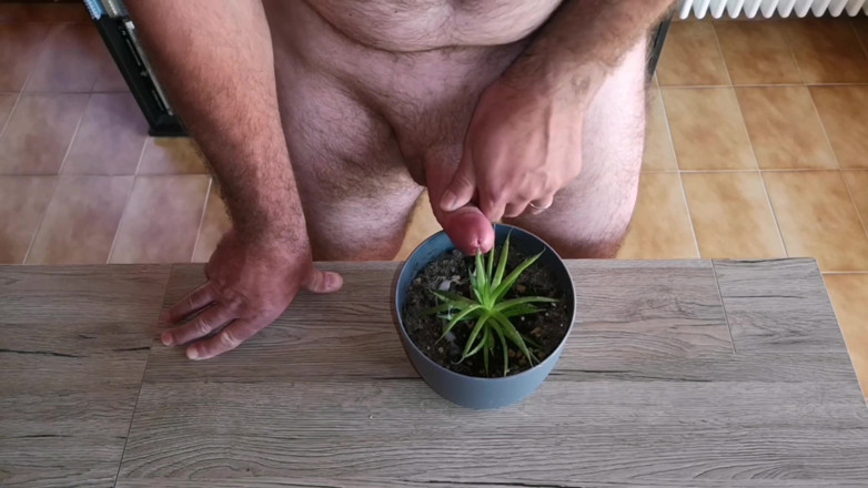 Cicci77: Cicci77 füttert ihre pflanzen mit pinkeln und sperma, um sie üppig...