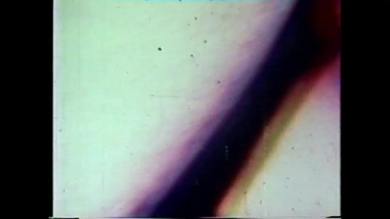 The Unforgettable: Penyedut Ayam