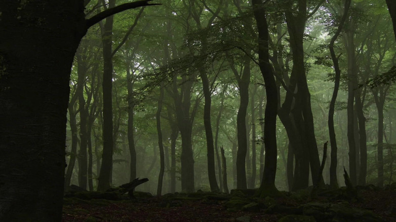 Swiss Strapon Queen: Возбужденный секс со страпоном в лесу