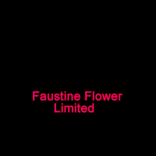 Faustine: Faustine mini skirt high heels stockings