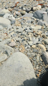 155 Caught on Beach: Sporty Girl in Crotchless Bodysuit Rides Stranger Hard