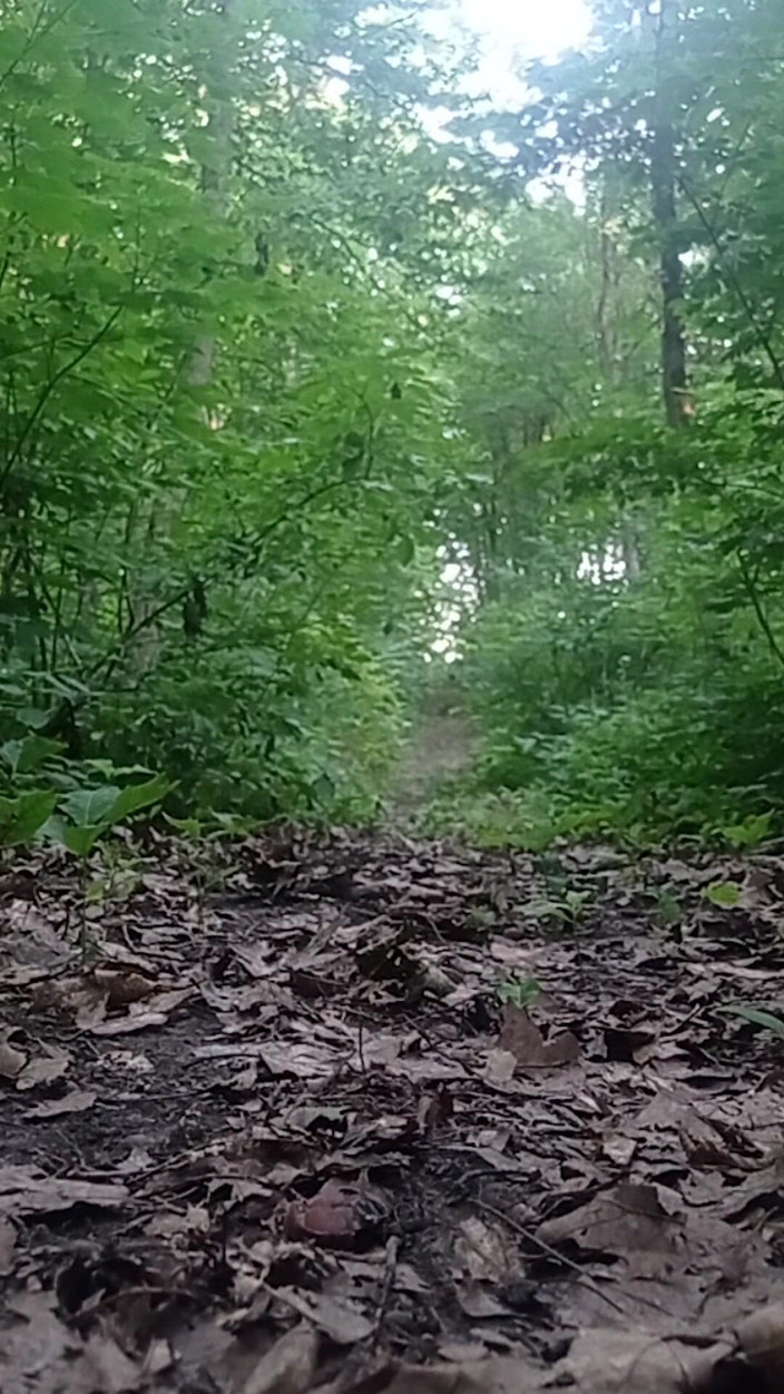 DiiVampy: Me, Dildo and the Forest