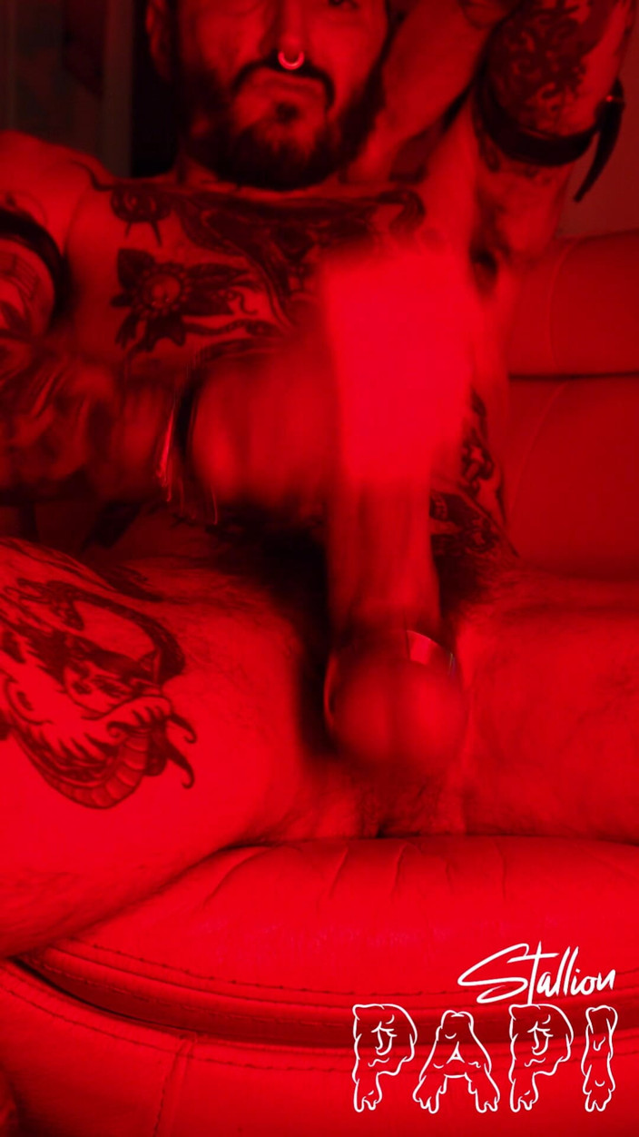 Stallion papi: 球拉大