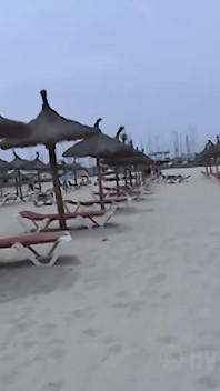 Vakantie in het Poesjesparadijs Mallorca