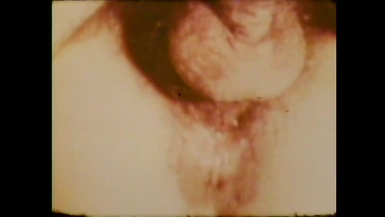 Vintage megastore: あの夜は本当にそうだった