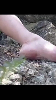 Moranguinho di hutan
