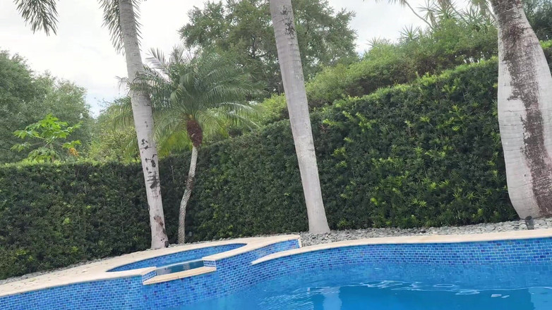 Teddy Tarantino: Sora mea vitregă Harper Hill înghite încărcătura fratelui vitreg Teddy Tarantino lângă...