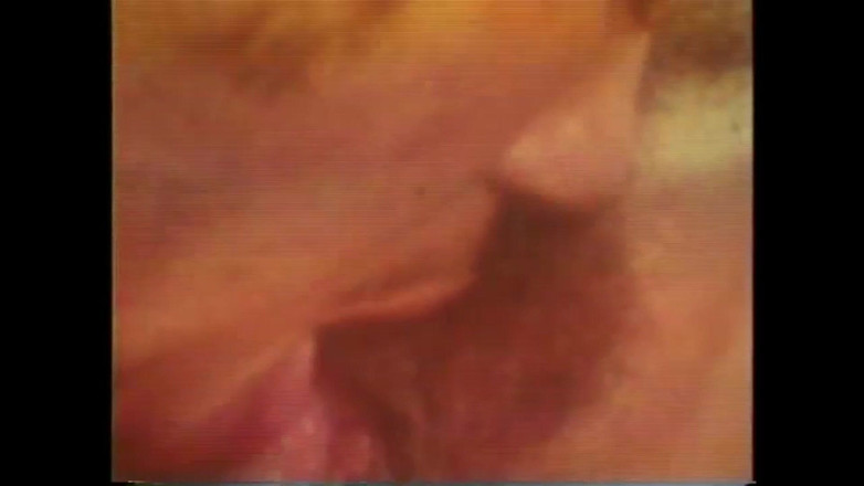 The Unforgettable: コックピッグとウォーマー