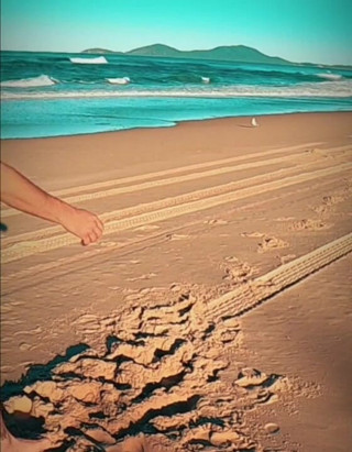 Madaussiehere: Aku lagi ngelakuin semua baju renangku di pantai