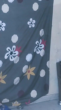 Horny Desi Bhabhi Fucks Neighbor on Bed