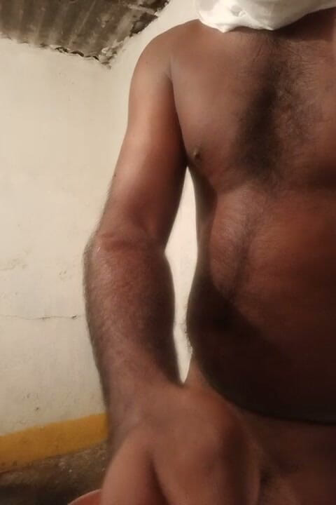 Mr xxx gay: XXXビデオズ JHK