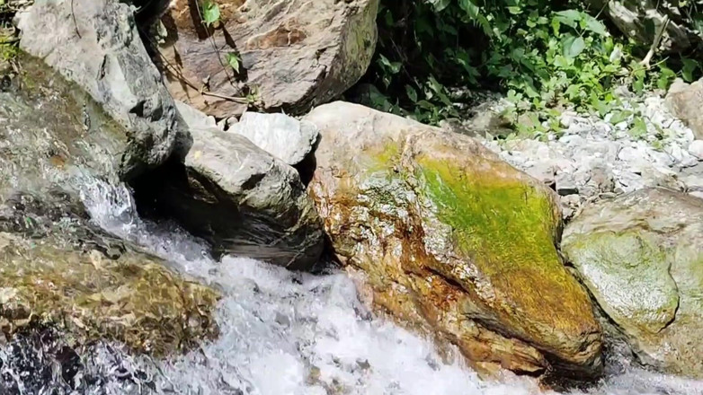 Uttar dinajpur: Une bhabhi indienne baise avec son copain en ambulant dans...