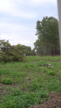 I Show My Boobs in Random Places