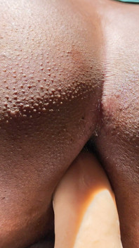 Tengo Mi Culo Caliente