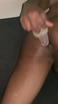 Ass Ass Ass
