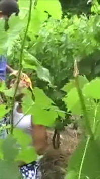 Дивовижна експозиція з арабом straigth на відкритому повітрі
