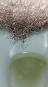Ich Habe in Die Toilette Gepinkelt