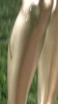Goldene bodypainting