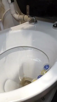 Curvă supusă Suport rolă de toaletă și Toaleta Licker