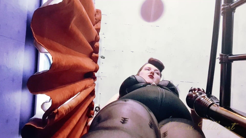 Mxtress Valleycat: Nylon Clad Giantess