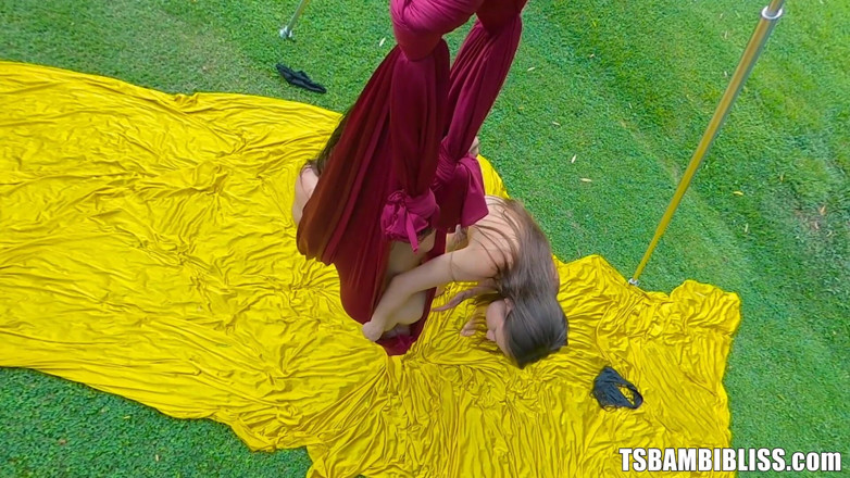 TransErotica: Šukání na houpačce
