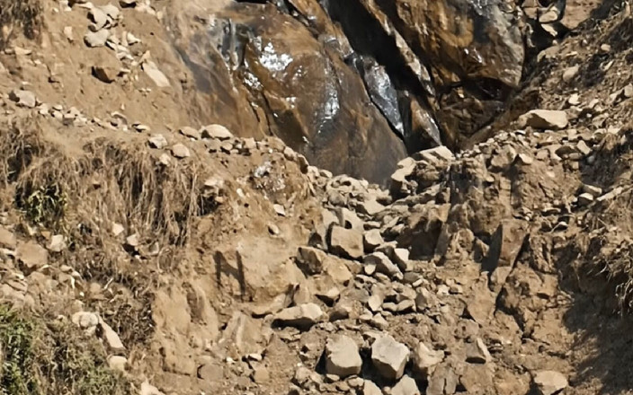 Anita yadav: Old Id Is Holiday