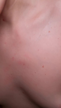 Il mio compagno di classe mi sta svuotando le palle!