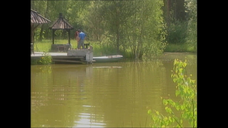 Purzel Official: Güzel bir Japon balığı