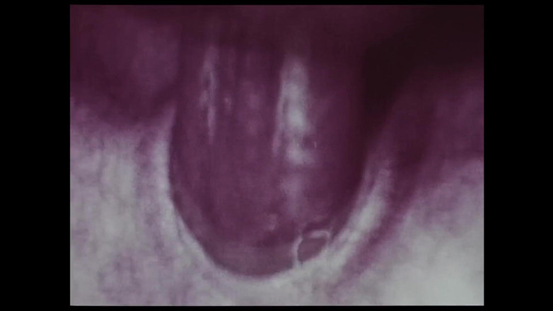 Close Encounter Vintage: Vintage - bioskop erotis jadul - ebony dan gading