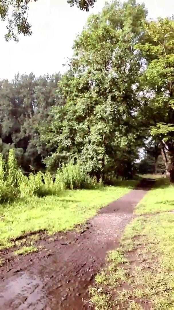 Slutboyben: Шлюшкабойбен Cam4, доение члена в